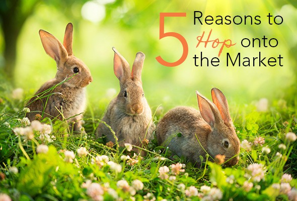 Reasons To Hop On The Real Estate Market Before Spring