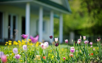 Curb Appeal Tips To Take This Spring