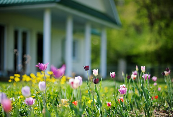 Curb Appeal Tips To Take This Spring